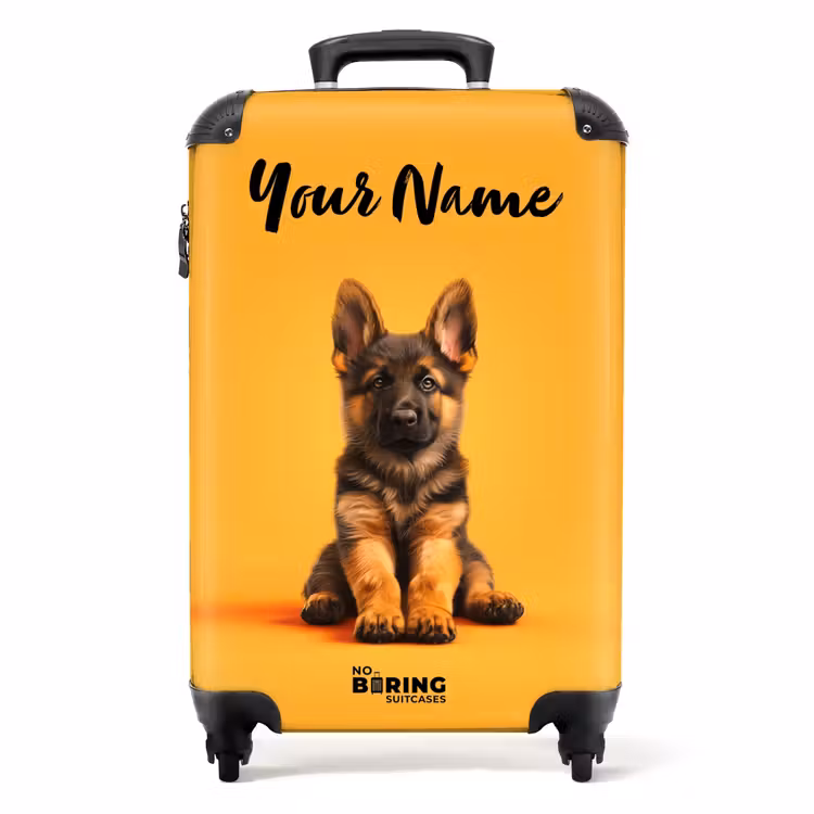Suitcase with name - Hein shepherd — 1