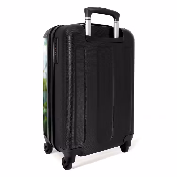 Suitcase with name - Alex monkey — 4