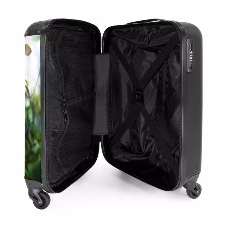 Suitcase with name - Alex monkey — 5