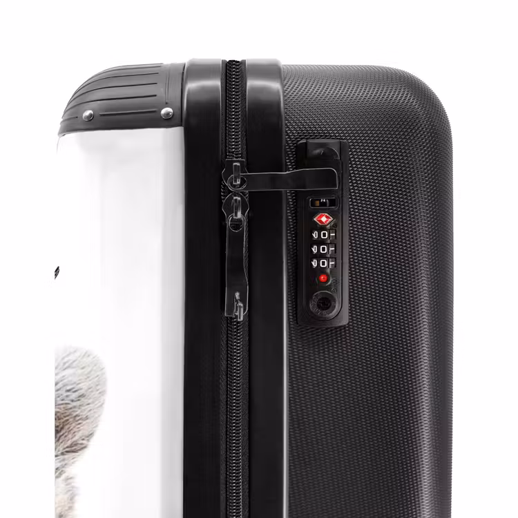 Suitcase with name - Rachid Racoon — 6