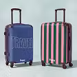 All checked suitcases