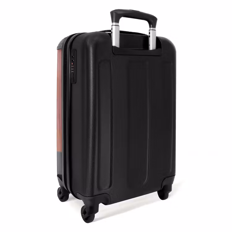 Suitcase - Illustration - Bird - Plains - Colorful — 2