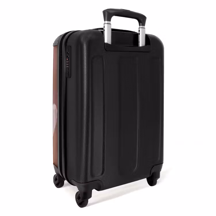Suitcase - Abstract - Figure - Illustration - Hat — 2