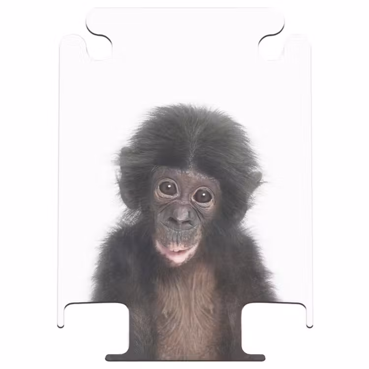 CaseSwap™ - Charlie Chimp — 1