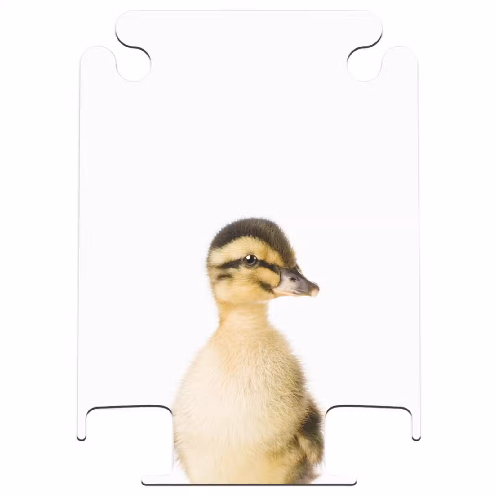 CaseSwap™ - Daisy Duck — 1