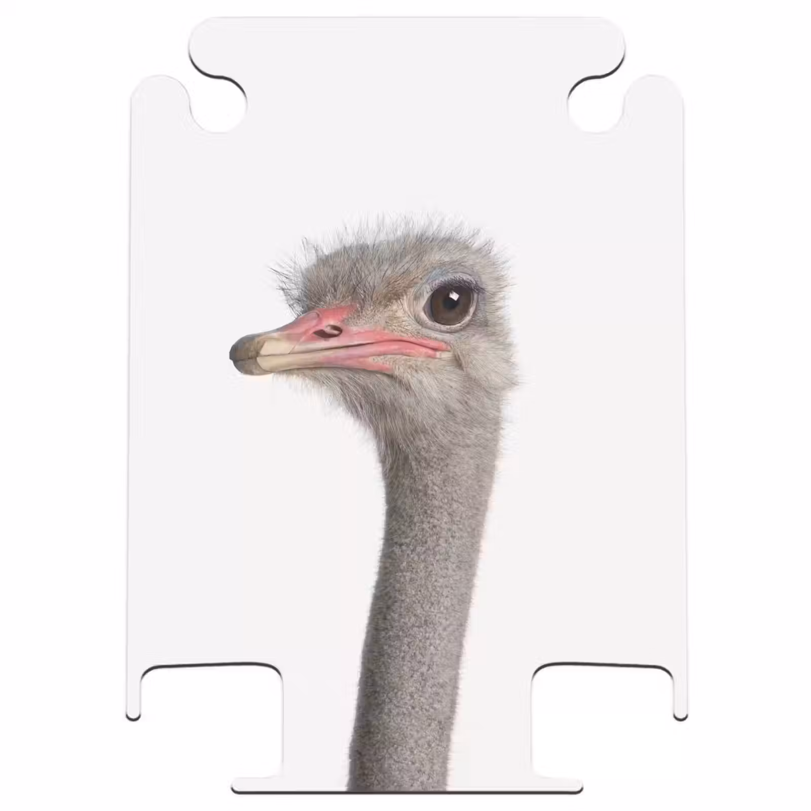 CaseSwap™ - Siebrina Ostrich — 1