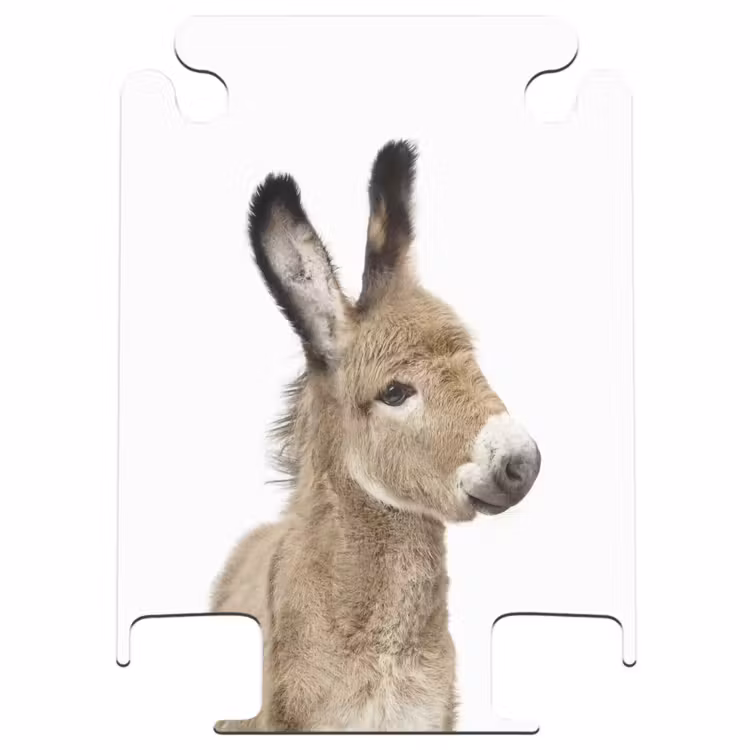 CaseSwap™ - Eddy Donkey — 1