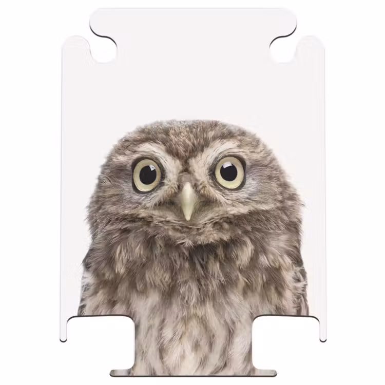 CaseSwap - Ulke Owl — 1