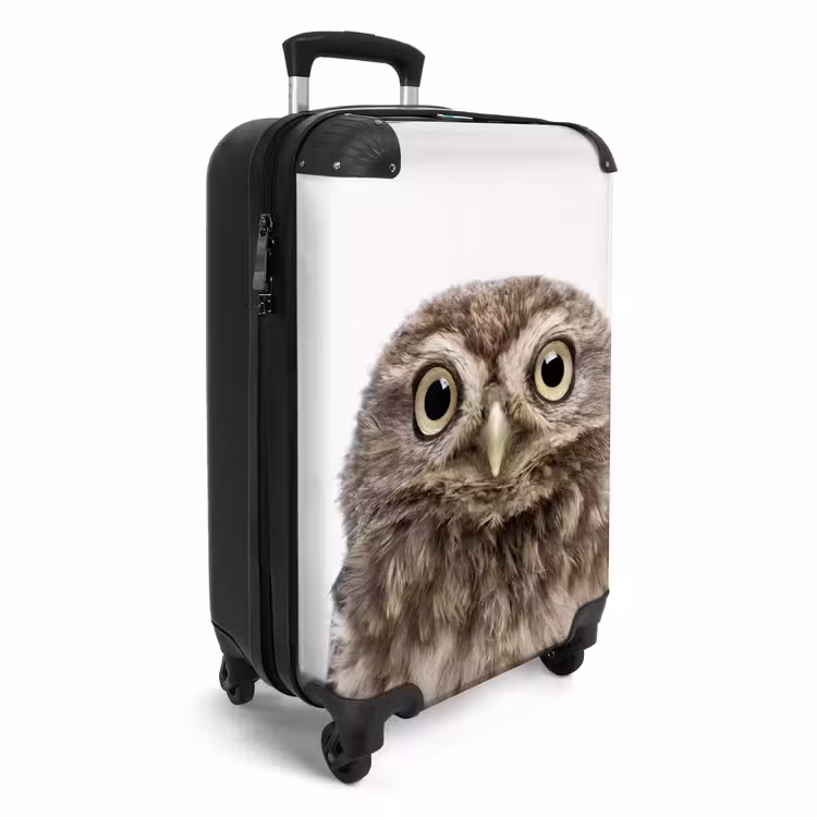 CaseSwap - Ulke Owl — 2