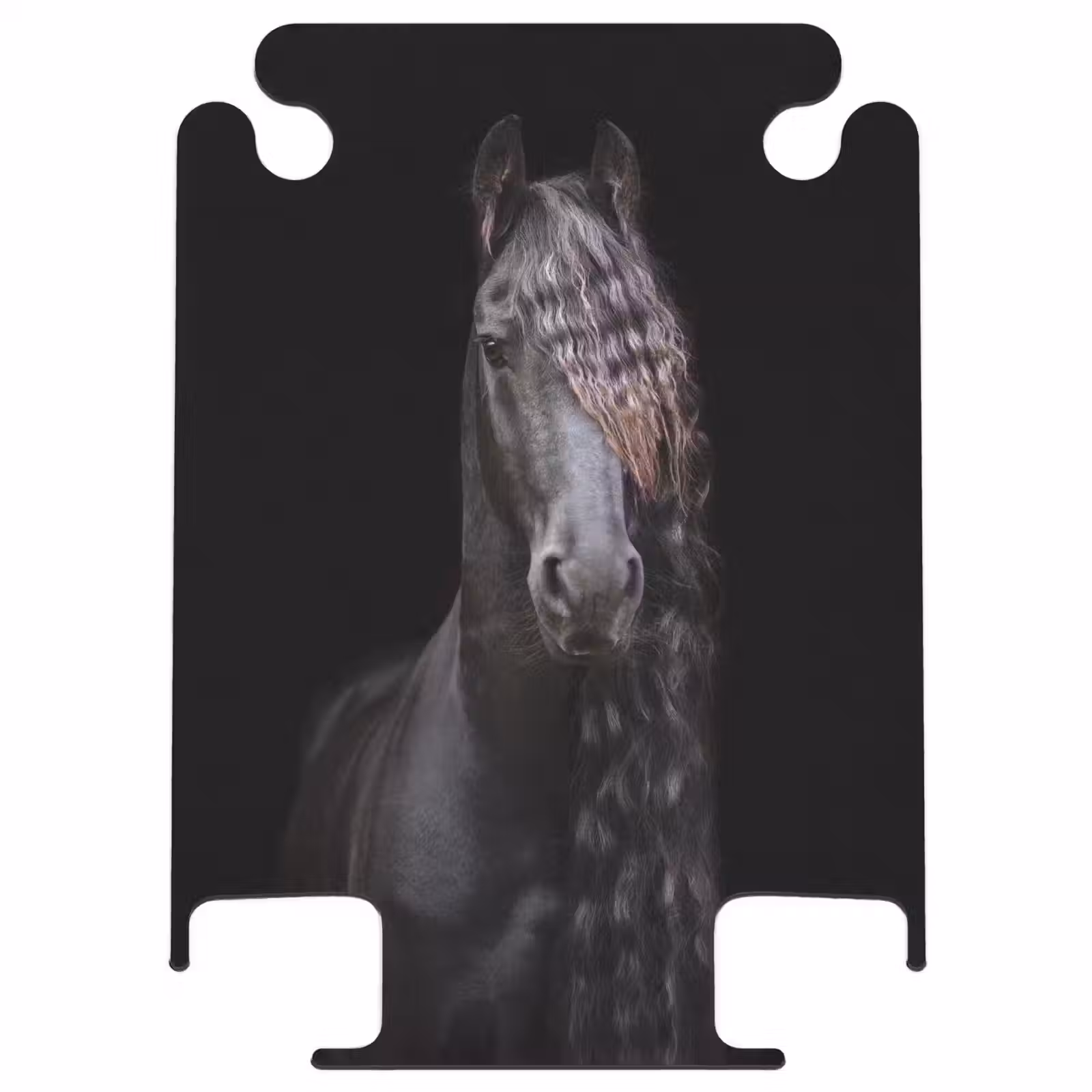 CaseSwap™ - Friesian stallion — 1