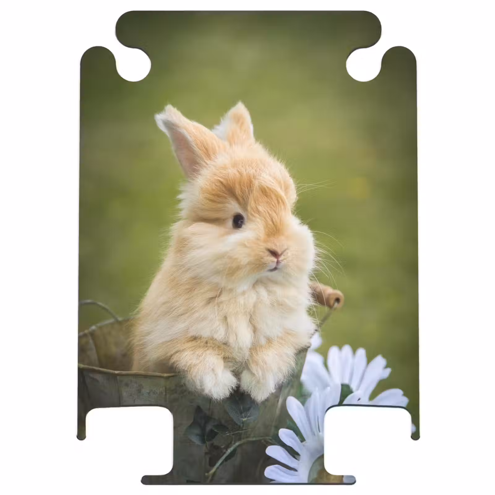 CaseSwap™ - Rabbit in flower pot — 1