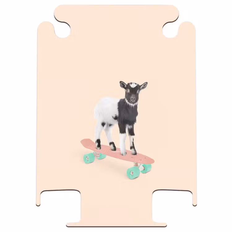 CaseSwap™ - Boarding buck — 1