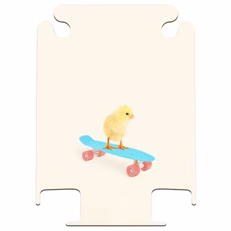 CaseSwap™ - Carrying chick — 1