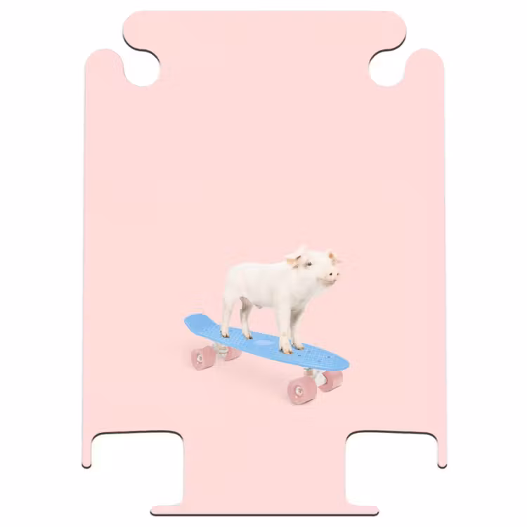 CaseSwap™ - Pig Transport — 1