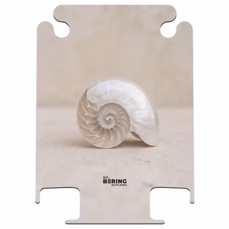 CaseSwap™ - Shell - Spiral - Beige — 1