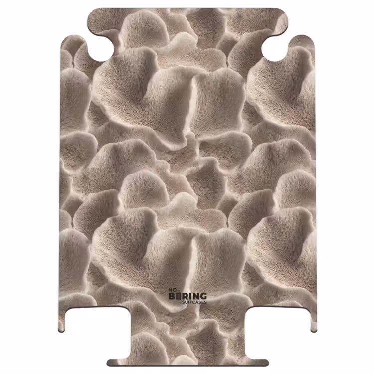 CaseSwap™ - Fan shape - Beige - Fiber texture — 1