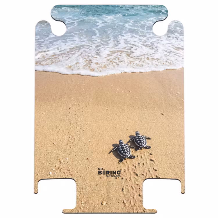 CaseSwap - Turtle - Young - Beach - Ocean - Blue — 1