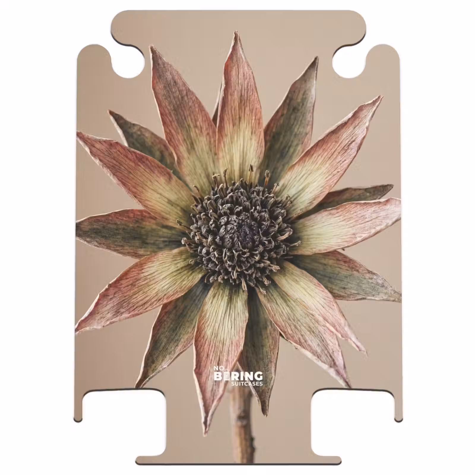 CaseSwap™ - Dried Flower - Protea - Vintage - Beige - Rustic — 1