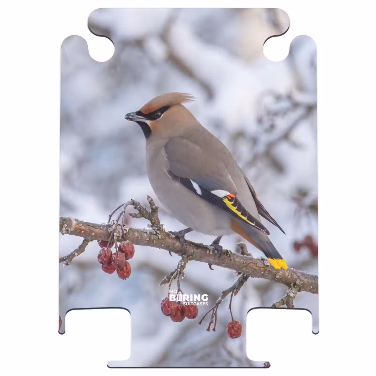 CaseSwap™ - Eurasian Jay - Berries - Winter - Nature — 1