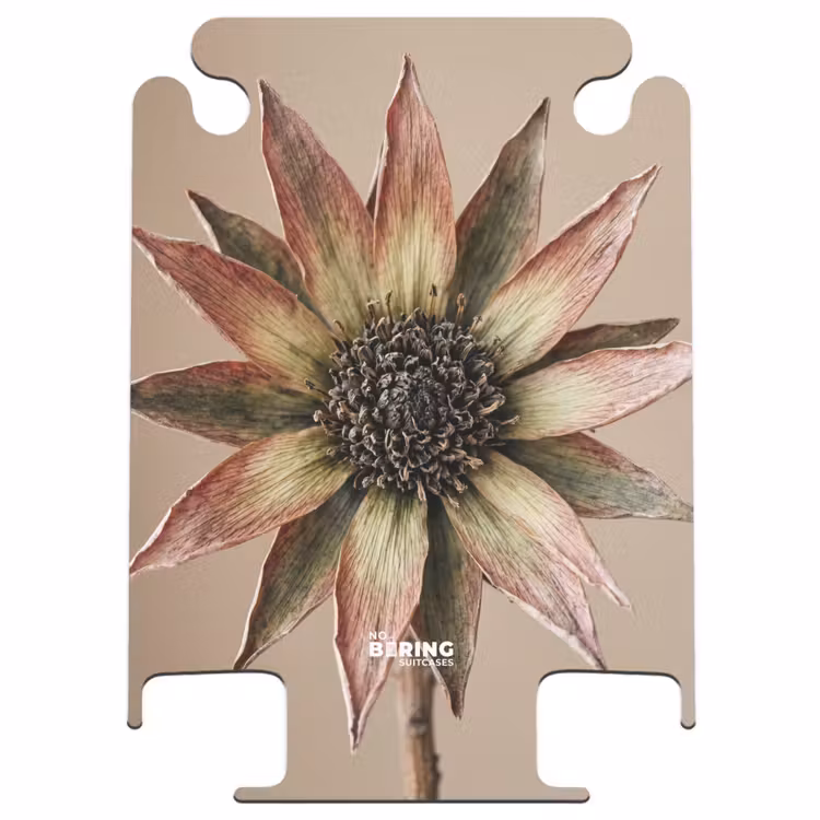 CaseSwap™ - Dried Flower - Protea - Vintage - Beige - Rustic — 1