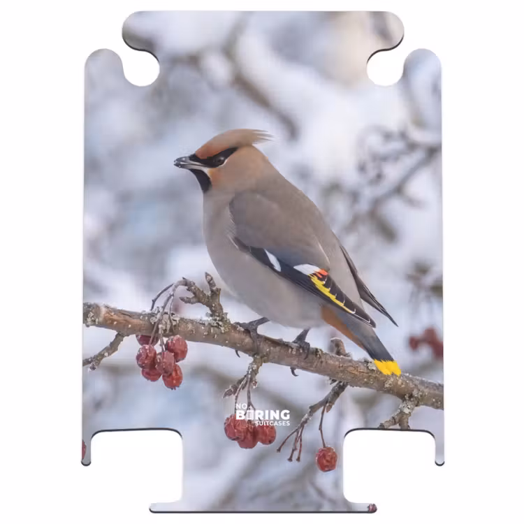 CaseSwap™ - Eurasian Jay - Berries - Winter - Nature — 1