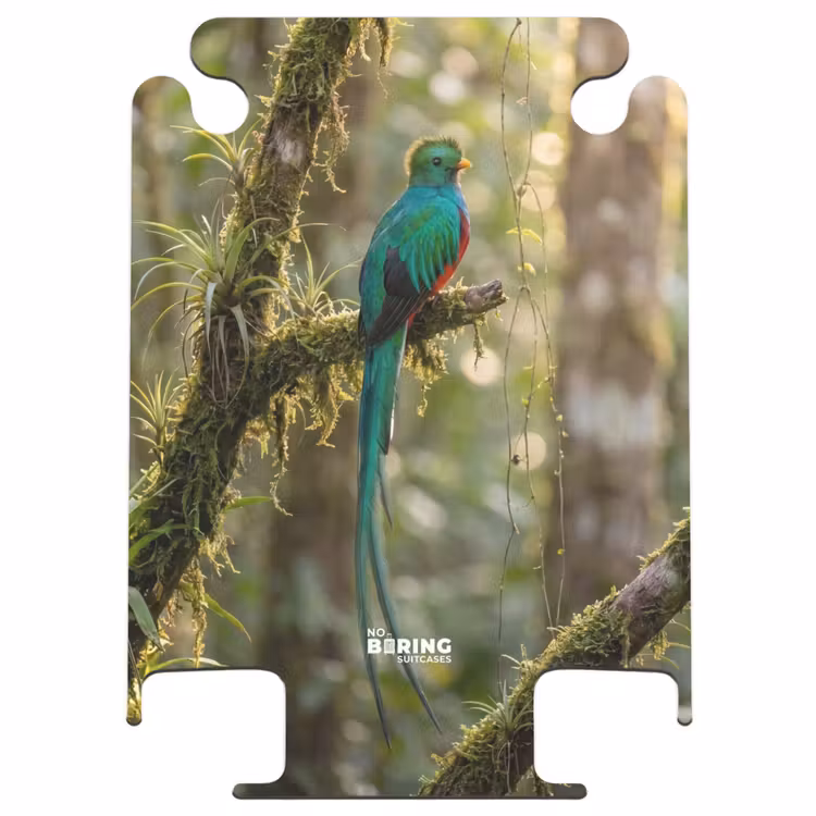 CaseSwap™ - Quetzal - Jungle - Nature - Green — 1