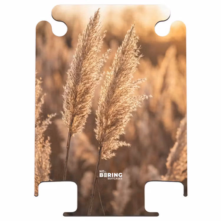 CaseSwap™ - Reed Plumes - Grass - Sunset - Gold - Serene — 1