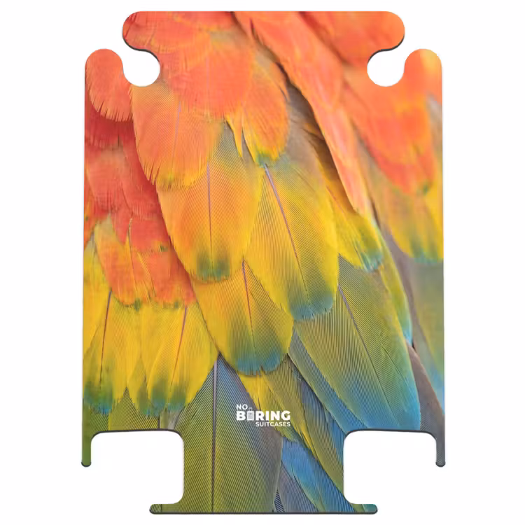 CaseSwap™ - Feathers - Macaw - Colorful — 1