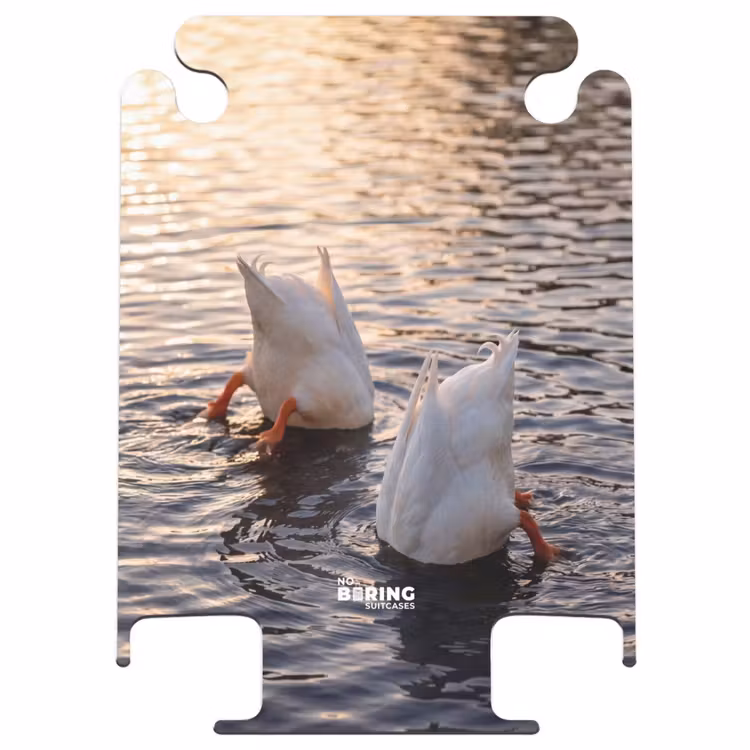 CaseSwap™ - Ducks - Water - Nature — 1