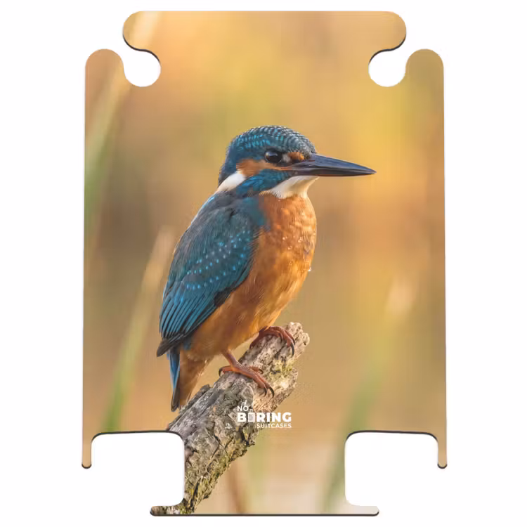 CaseSwap™ - Kingfisher - Branch - Water - Colorful - Lively — 1
