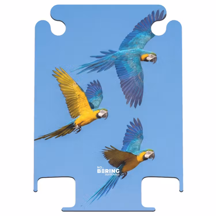 CaseSwap - Parrot - Flying - Blue - Yellow — 1