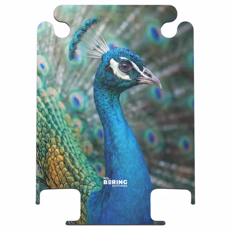 CaseSwap - Peacock - Feathers - Blue — 1