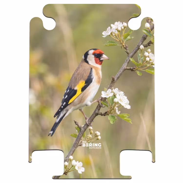 CaseSwap™ - Putter - Blossom - Spring - Nature - Colorful — 1