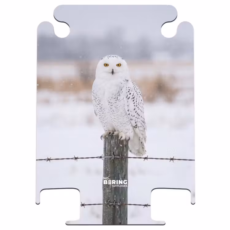 CaseSwap™ - Snowy Owl - Fence - Snow - White — 1