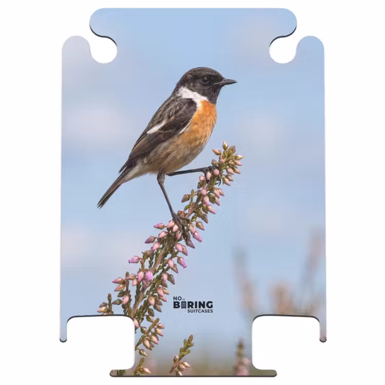 CaseSwap™ - Stonechat - Heath - Purple - Nature - Atmospheric — 1