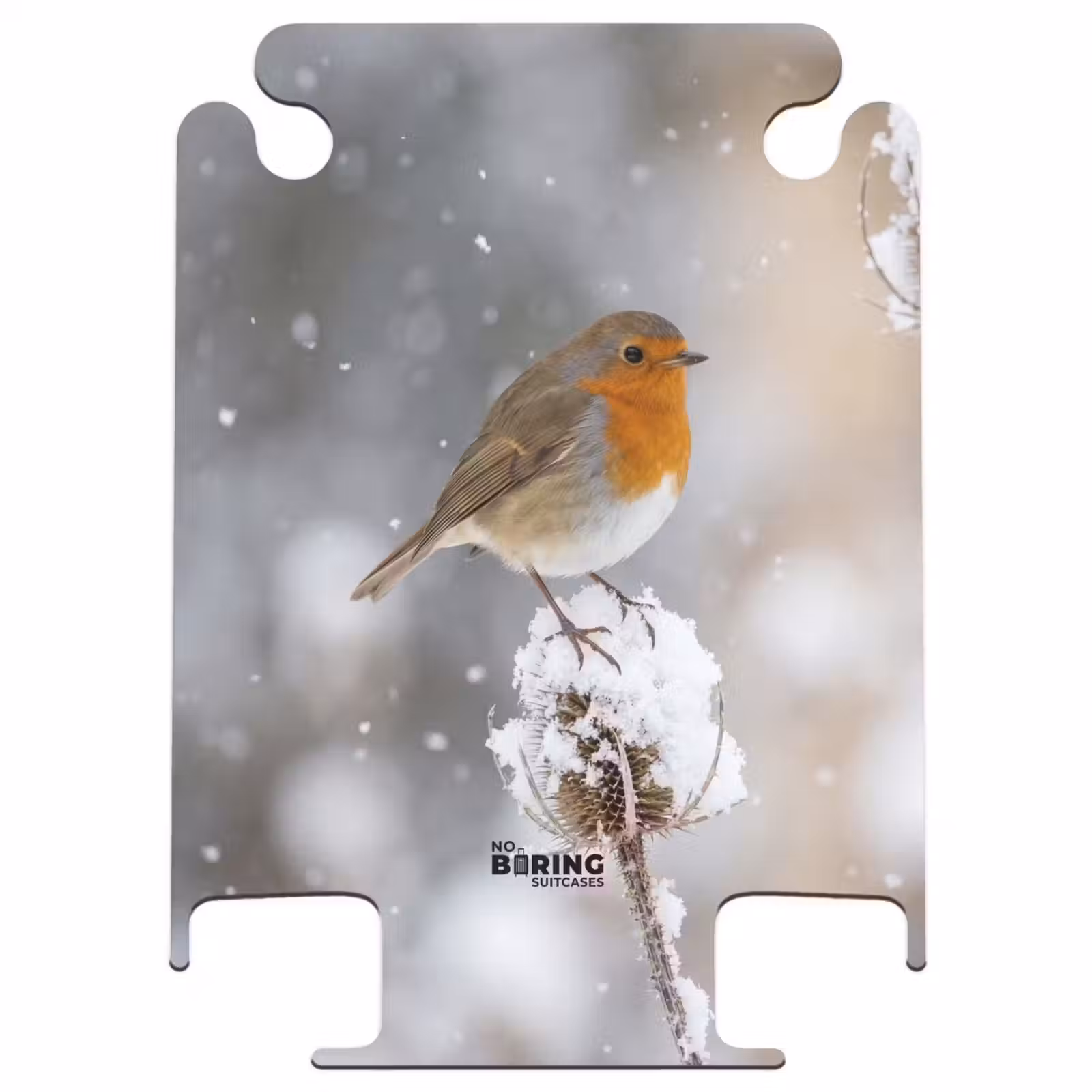 CaseSwap™ - Robin - Dried Flower - Snow - Winter - Charming — 1