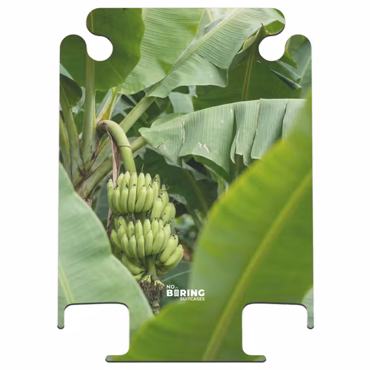 CaseSwap™ - Food - Bananas - Plantation - Green — 1