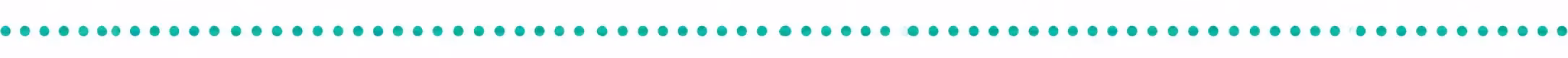 NBS Seperator dots