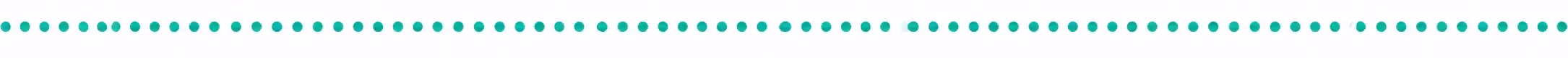 NBS Seperator dots