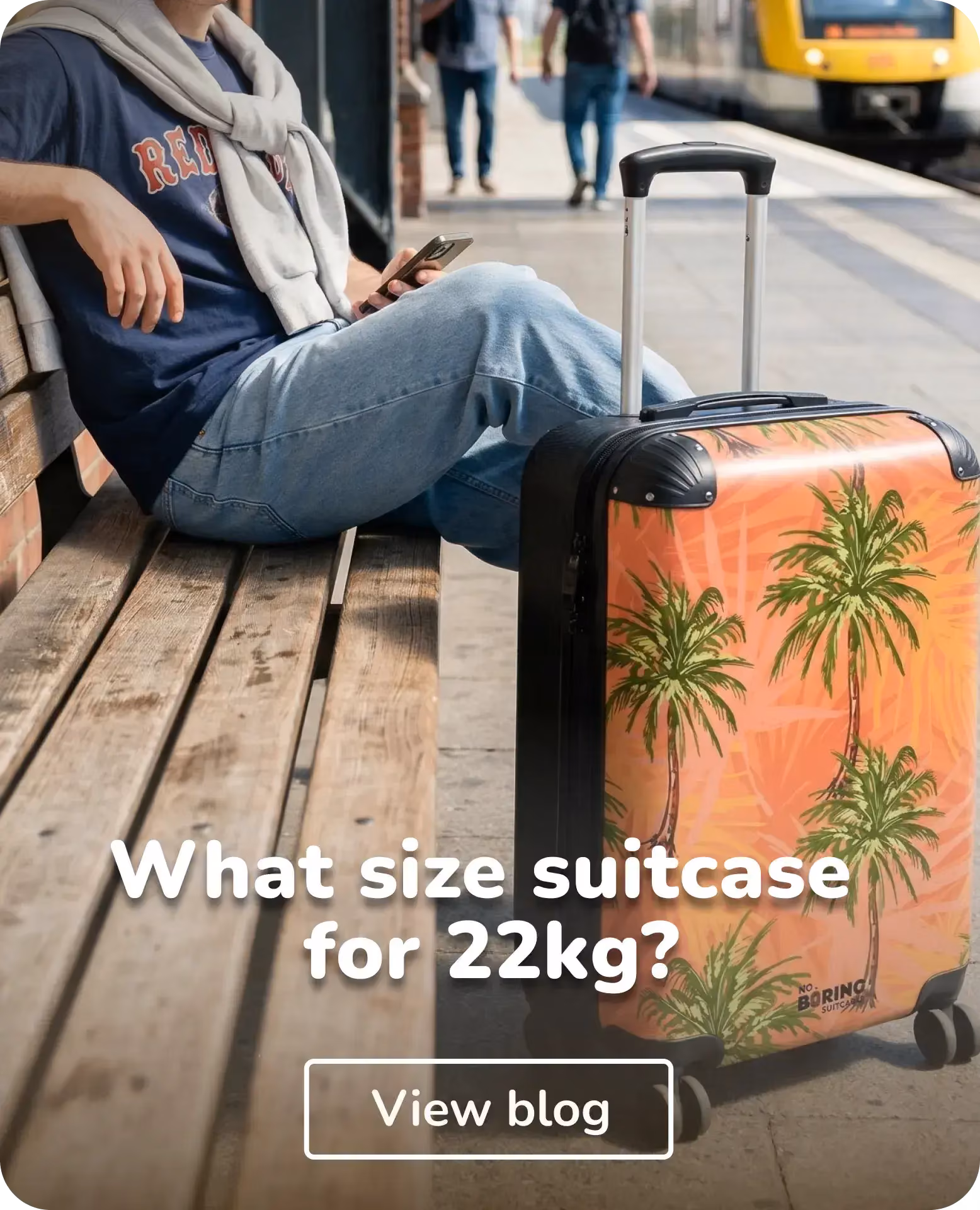 guy with suitcase on a station
