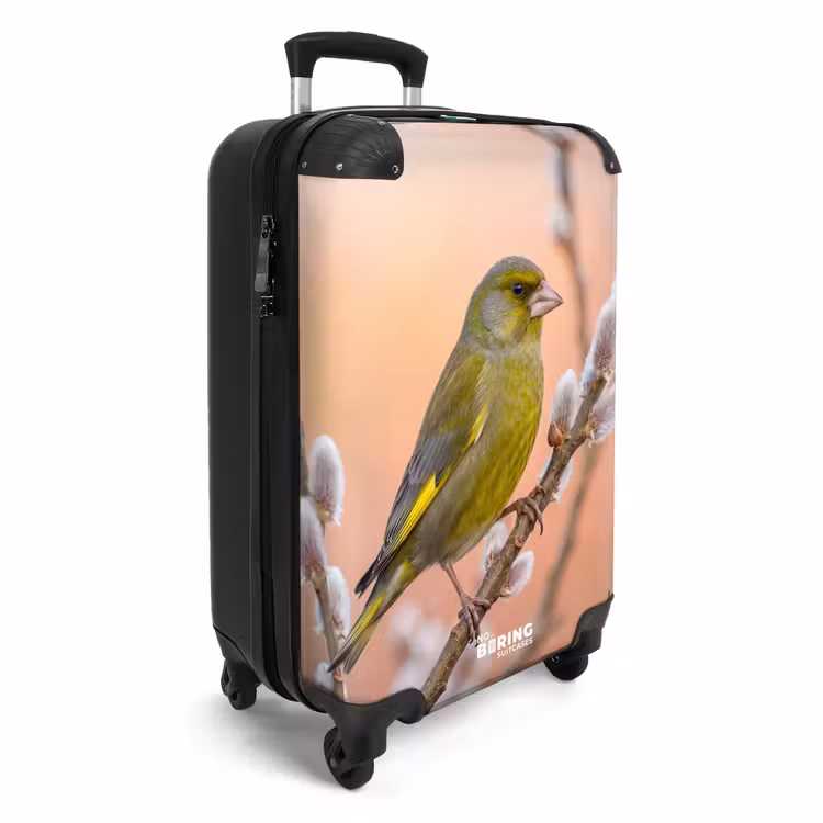 CaseSwap™ - Greenfinch - Catkins - Spring - Nature - Soft — 2